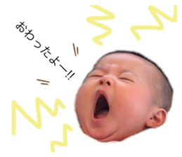 302016518