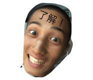 302077534