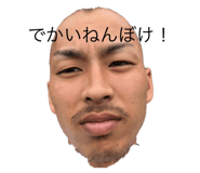 302077539