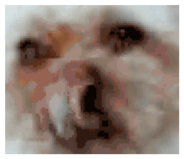 302078204