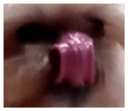 302078208