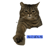 302078982