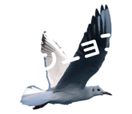302091911