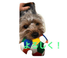 302095016