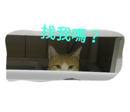 30221747