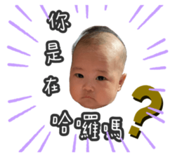302273840