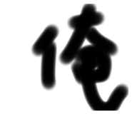 302297517