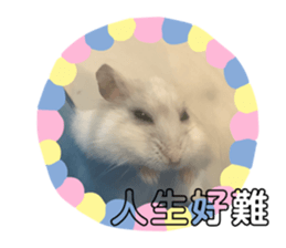 302322193