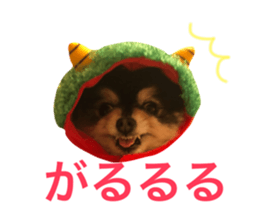 30234666