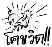 302381575