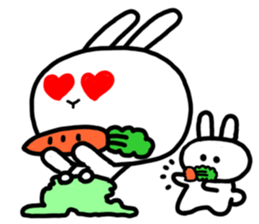 3023905