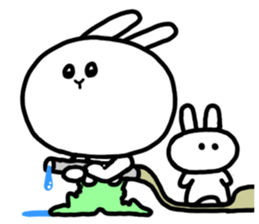 3023917