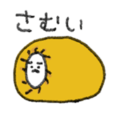 30252444