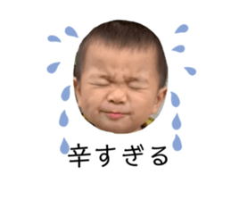 302583562