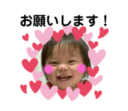 302655238