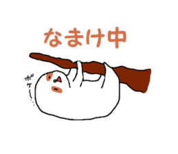 3026654