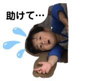 302684120