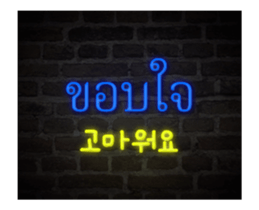 302725144
