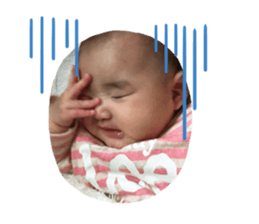 302823845