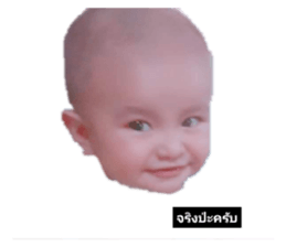 302961304
