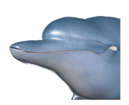 302963996