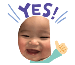 302995244