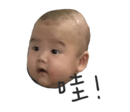 303056259