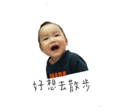 303056260