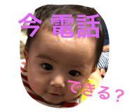 303056637