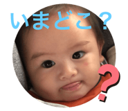 303056640