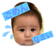 303056648