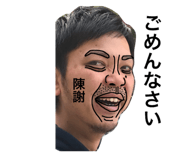 30306681