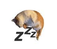 303070007