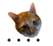 303070008