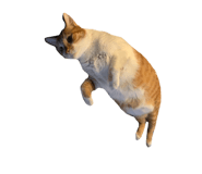 303070011