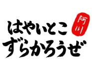 303072877