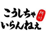 303072880