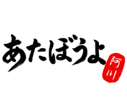 303072893