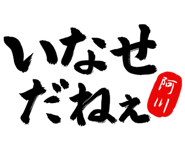 303072897