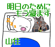 303073048
