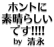 303075335