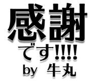 303075544