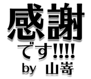 303075704