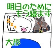 303075752