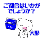 303075755