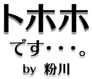 303075853