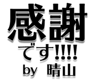 303076024