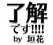303076047
