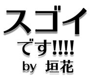303076049
