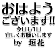 303076051